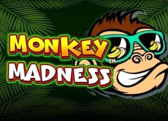 Monkey Madness Pragmatic игровой